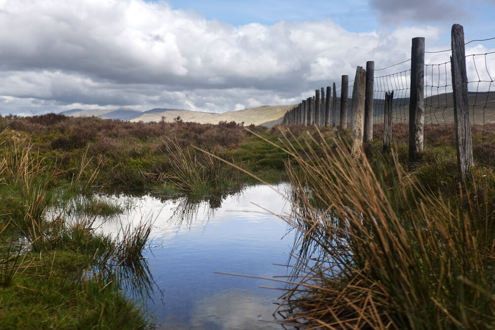 Gau Graig, Meirionnydd