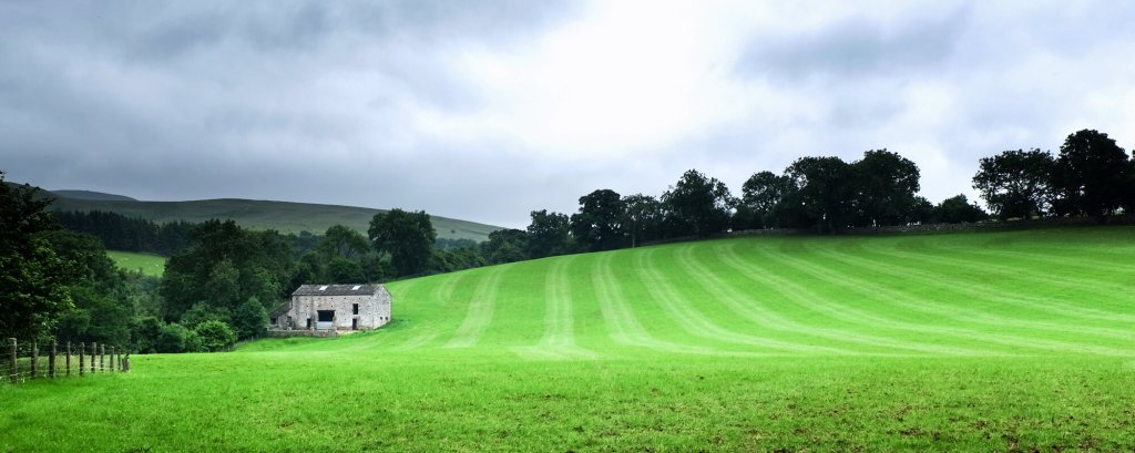 A week in the&nbsp;Dales