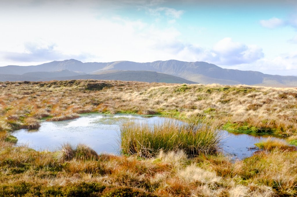 Moel y Cerrig Duon in the Berwyn Mountains of North Wales