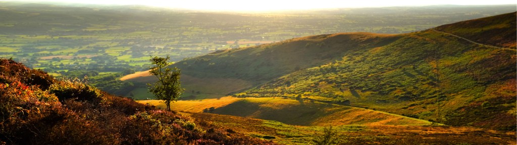 The lower slopes of Moel Famau on a summer evening, from Foel Fenlli