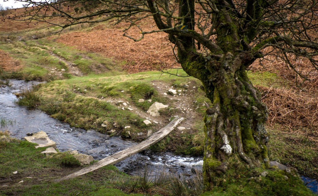 Stream crossing, on a path to Moel Famau from Cilcain, Clwydian Range, North Wales